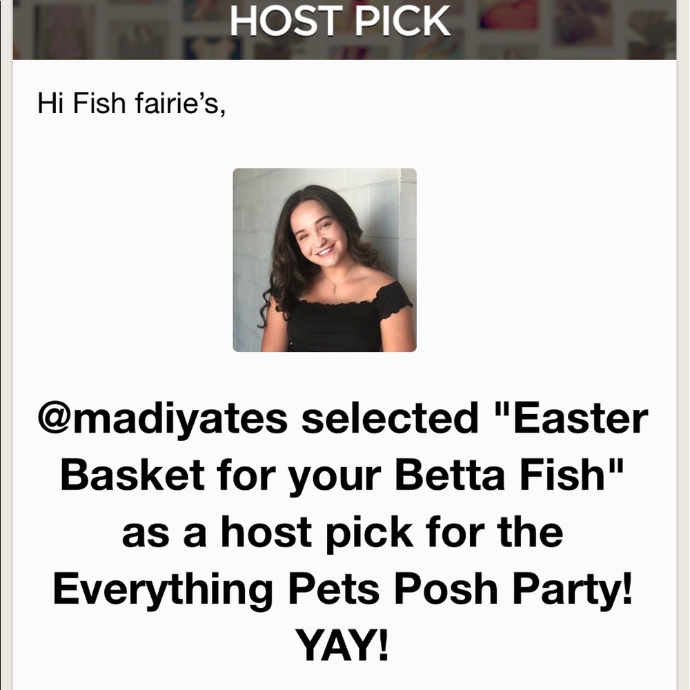 🐬betta fish floating peek a boo hideout